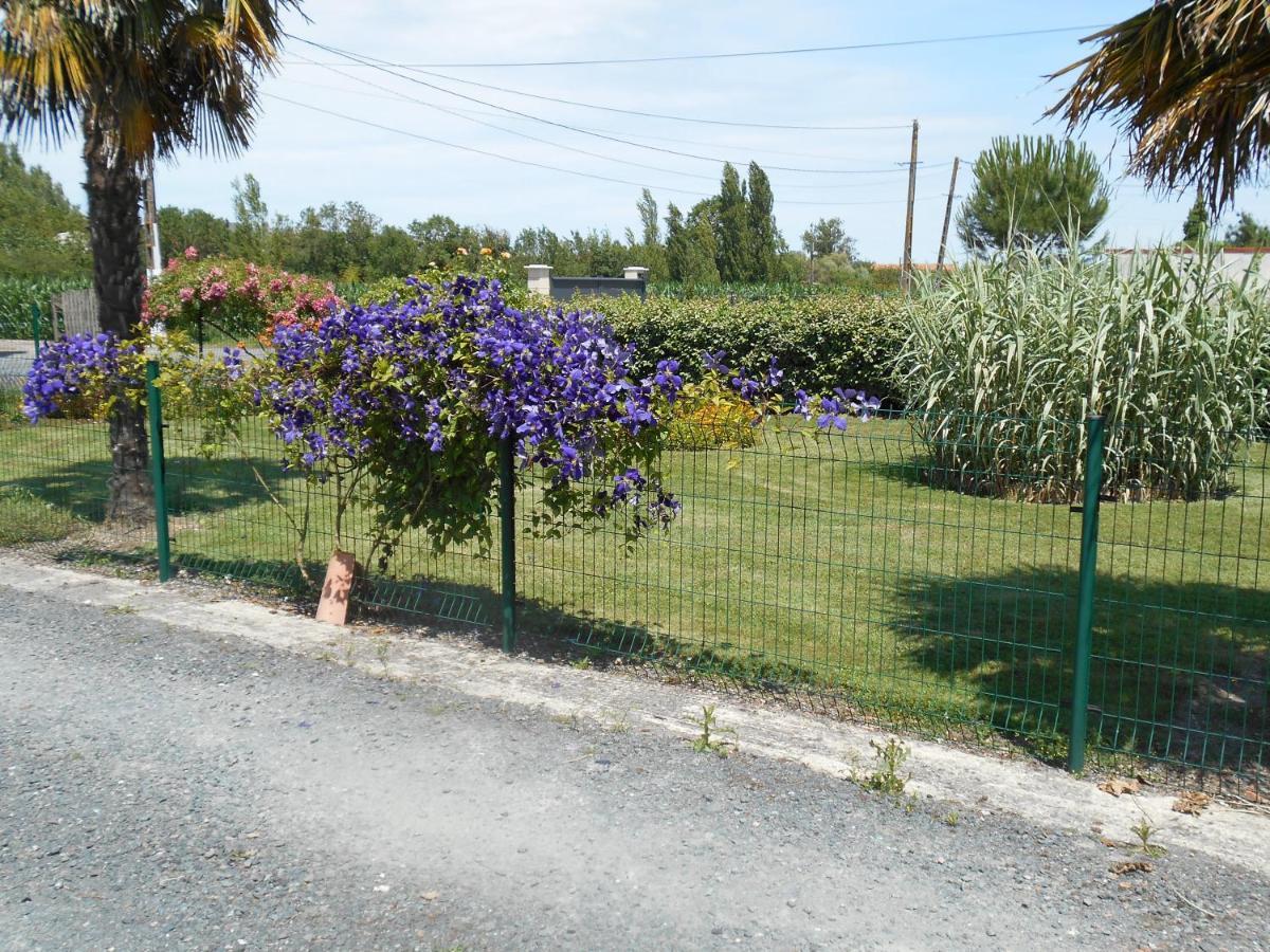 Marais Poitevin Bord Riviere Peche ,Barque, Velos, Wifi, Linge, Cheminee, Cuisine, Terrain De Boules La Taillee Εξωτερικό φωτογραφία